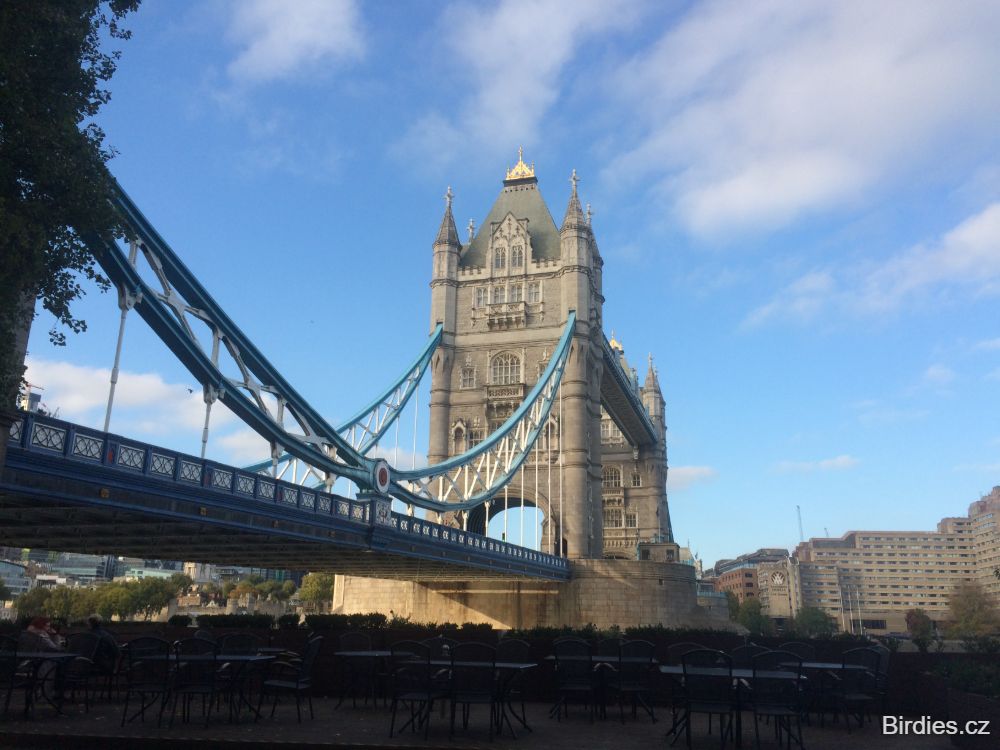 Tower Bridge