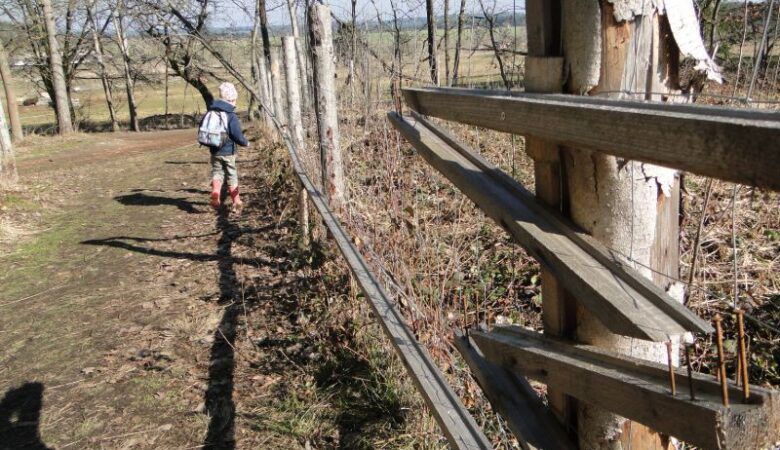 Kuličkodráha Burkovák