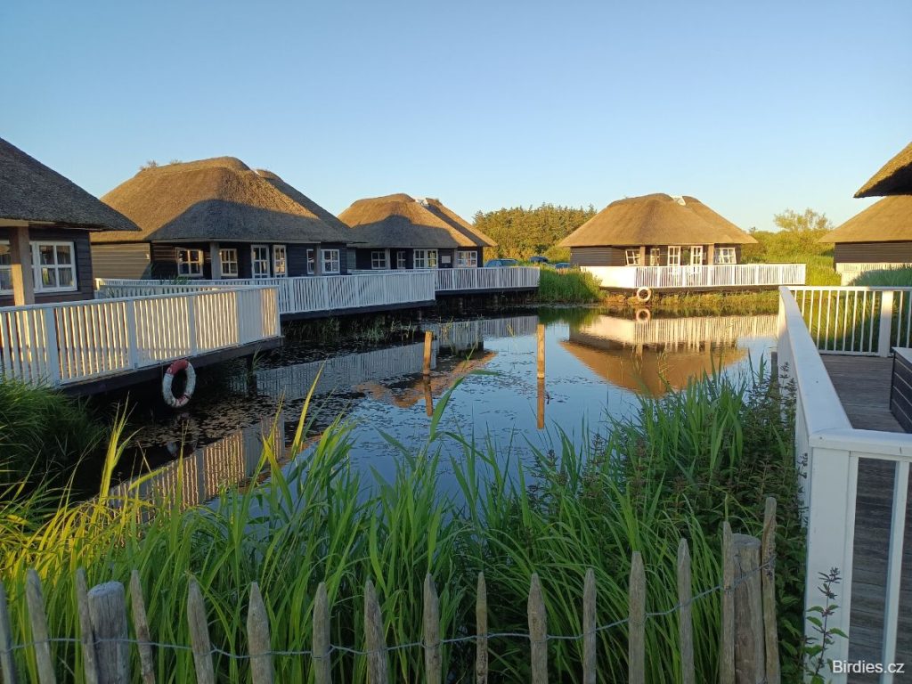 kemp Hvidbjerg Strand Feriepark - luxusní domky