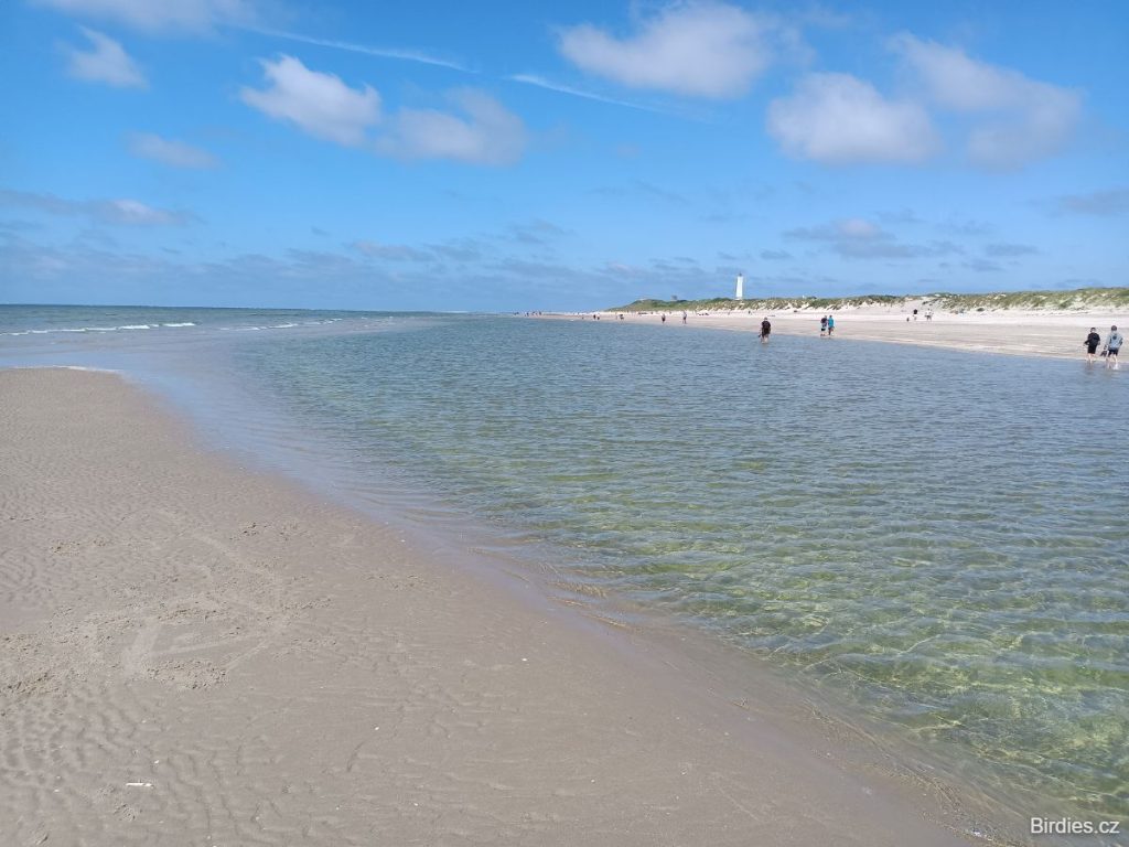 kemp Hvidbjerg Strand Feriepark - pláž