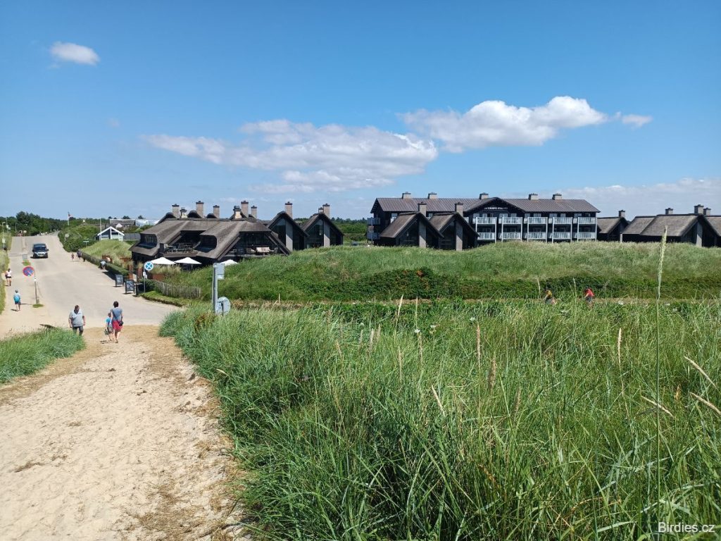 Hvidbjerg Strand Feriepark - hotelový areál