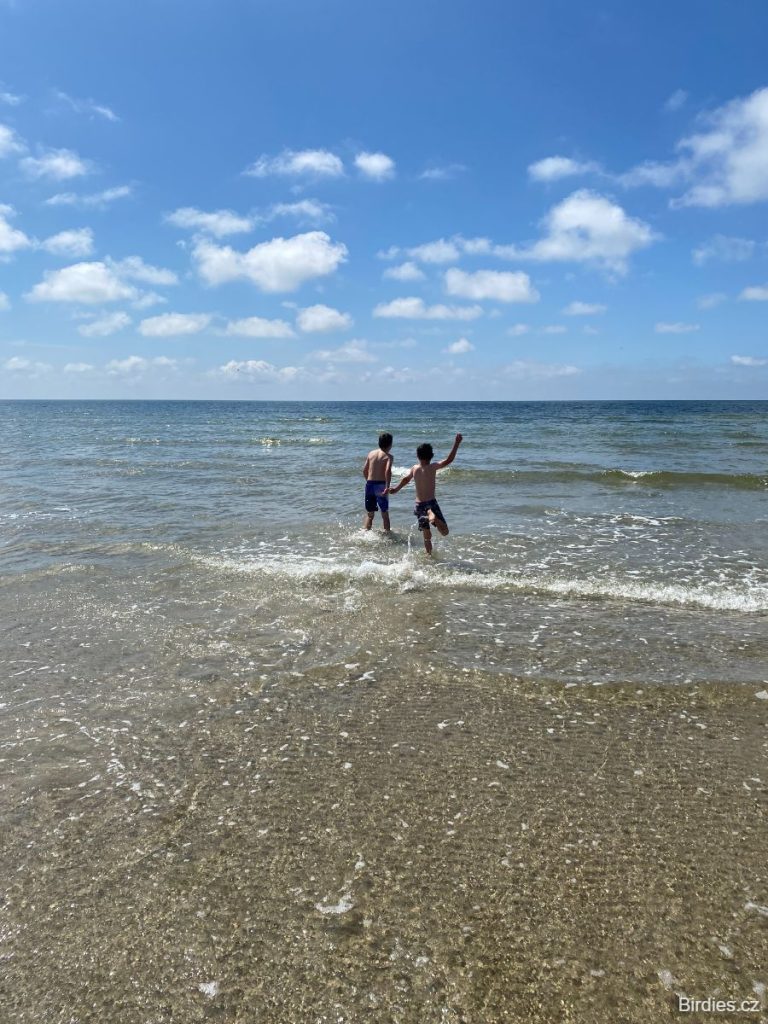 Koupání v Severním moři