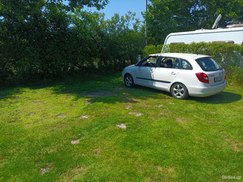 kemp Hvidbjerg Strand Feriepark - pitch