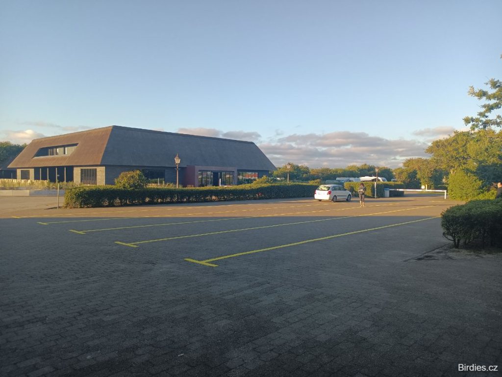 kemp Hvidbjerg Strand Feriepark - parkoviště pro check in