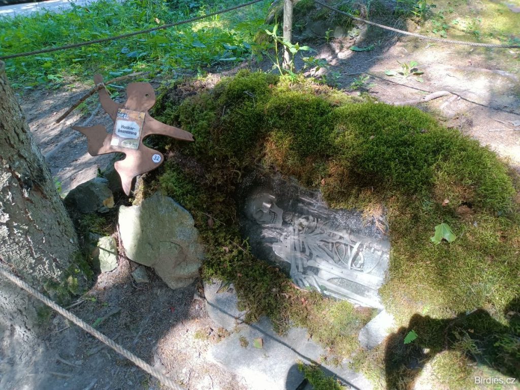 Ötzi Dorf - kostrový hrob