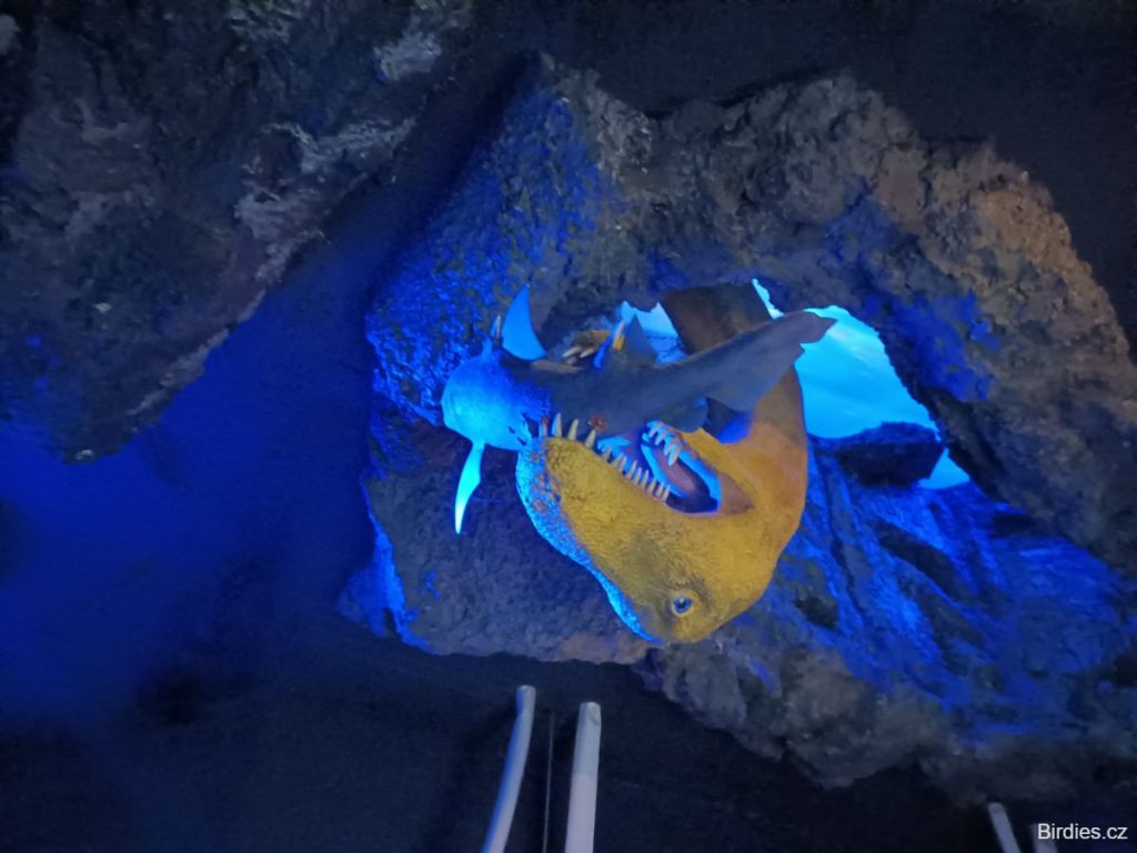 Triassic Park - vnitřní expozice