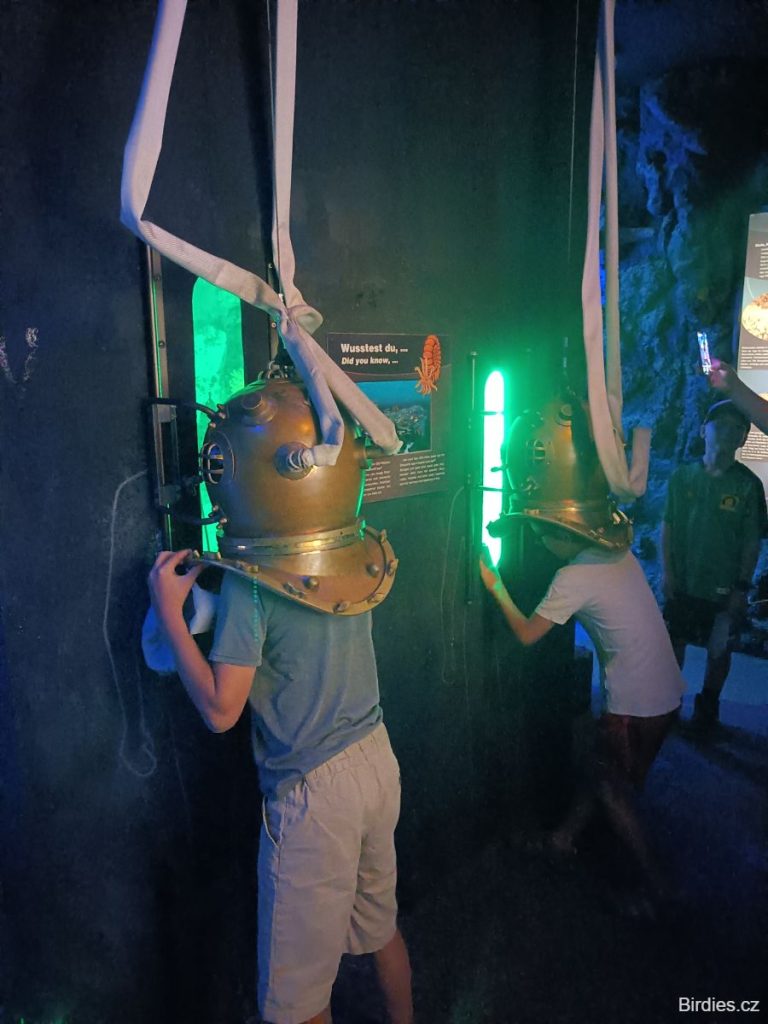 Potápěčské helmy v Triassic Parku