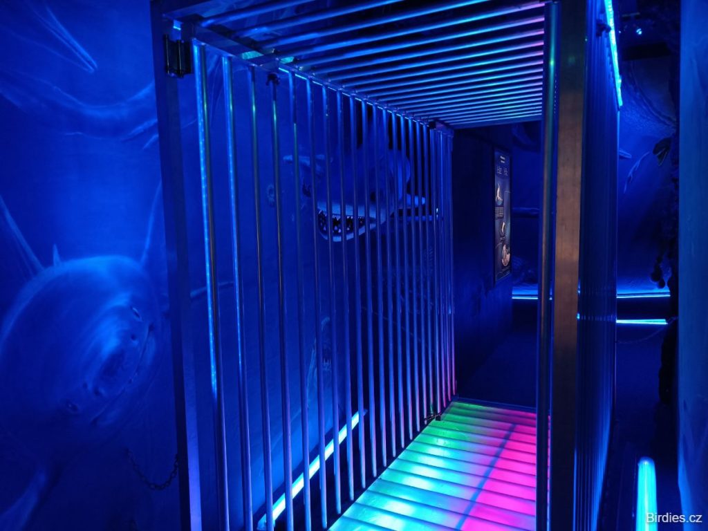 Triassic Park - vnitřní expozice s klecí proti žralokům