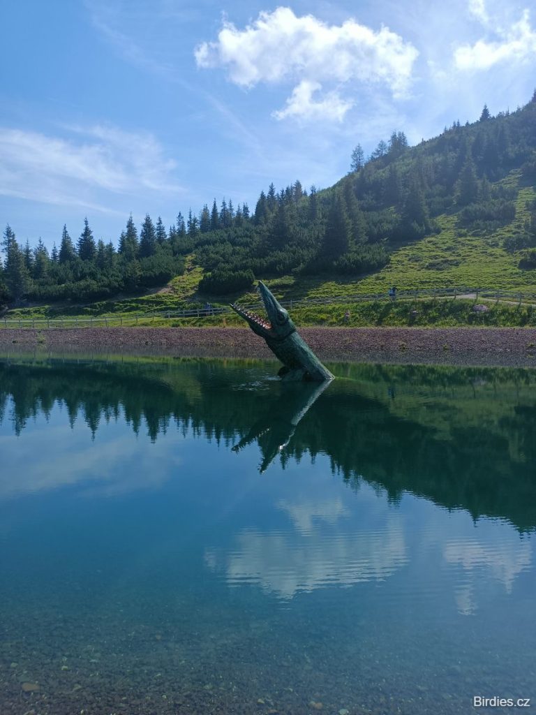 Triassic Park - Ichthyosaurus v jezírku