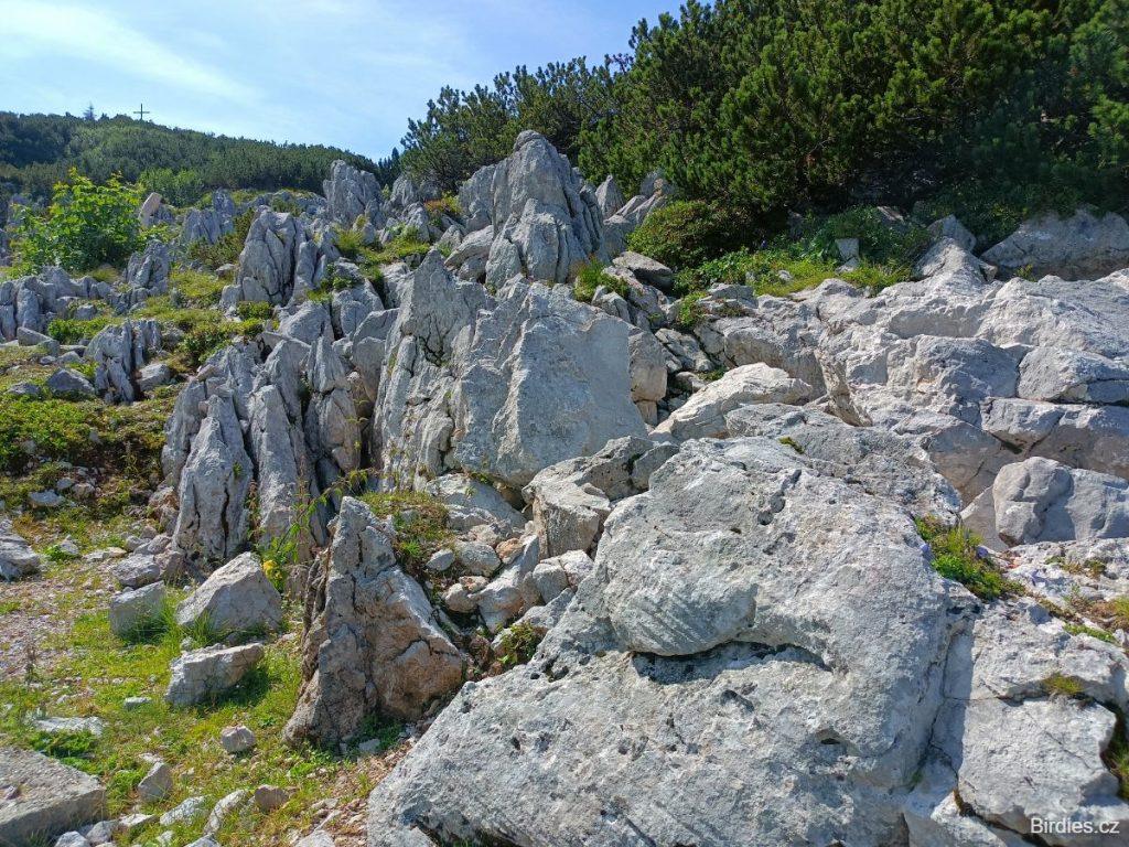 Triassic Park - bílé skály připomínající Dolomity