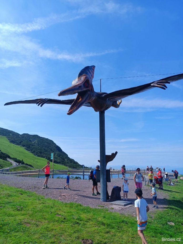 Triassic Park - Pteradon