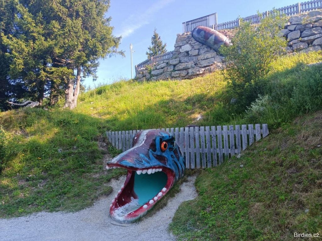 Triassic Park - tobogán