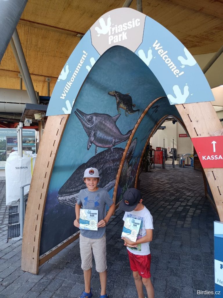 Vsup na lanovku Triassic Park