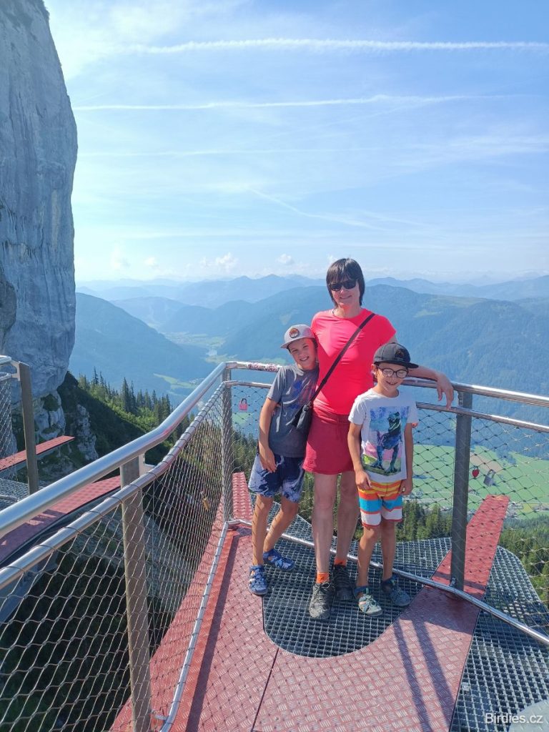 Triassic Park - Birdies na vyhlídkové plošině