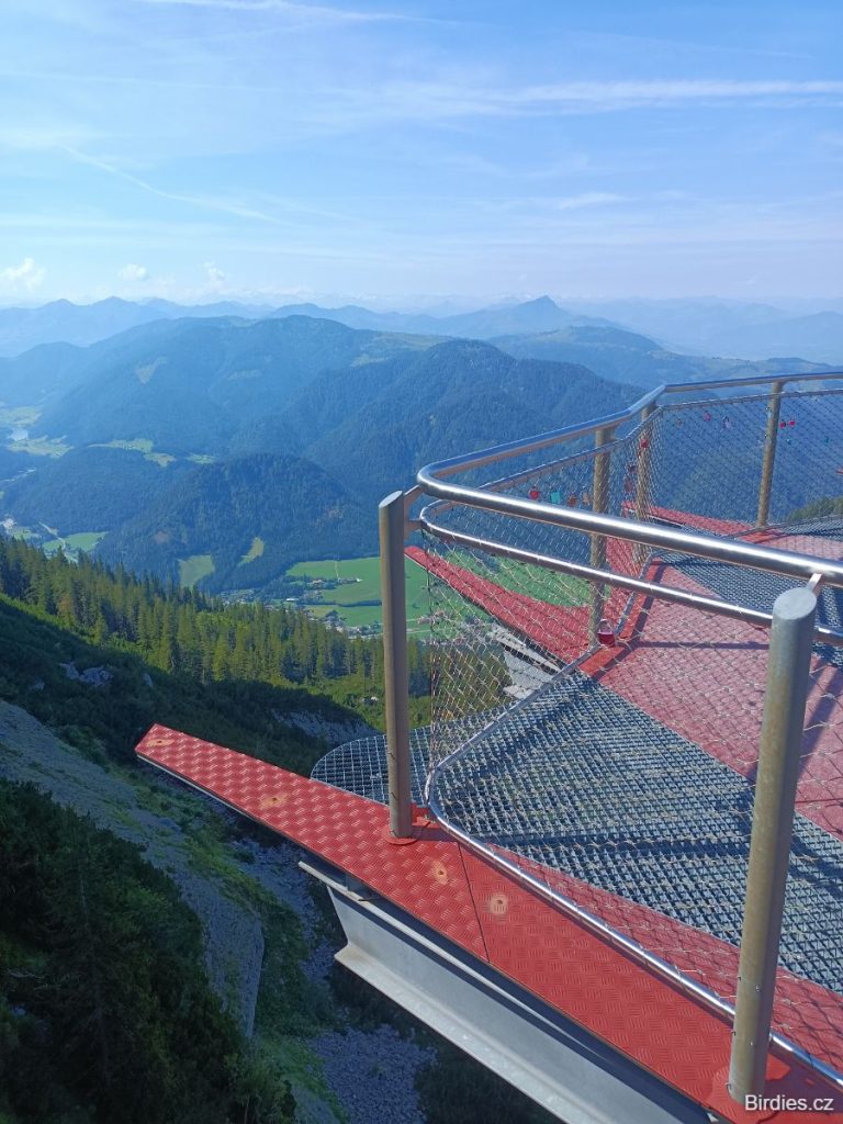 Triassic Park - vyhlídková plošina