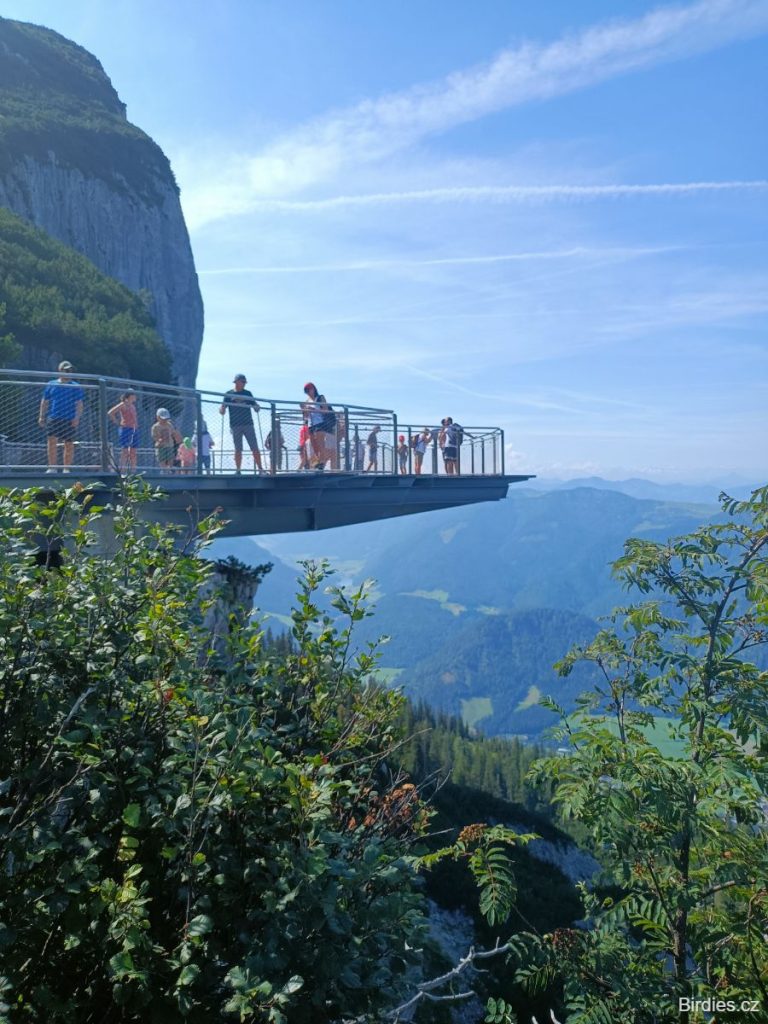 Triassic Park - vyhlídková plošina