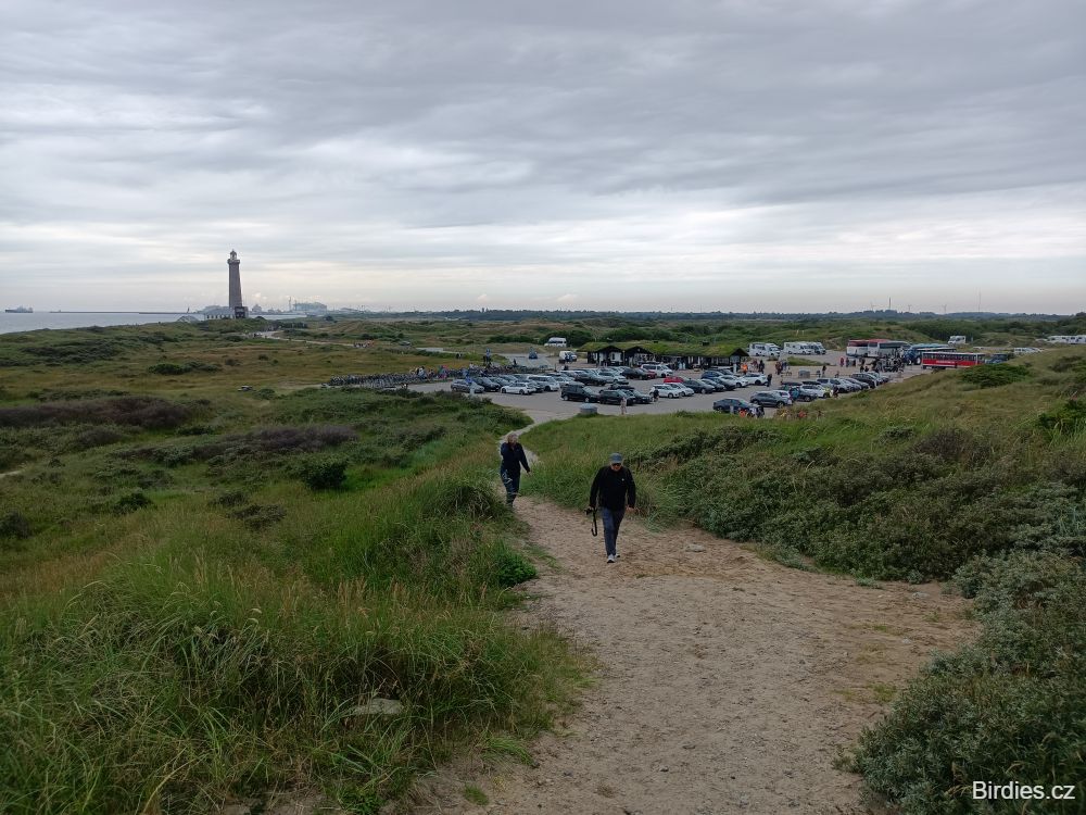 Grenen - parkoviště