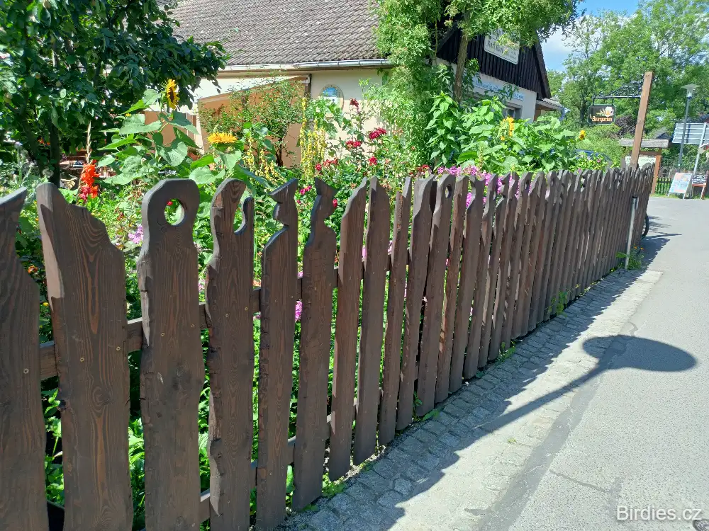 Spreewald - Lehde - ozdobný plot