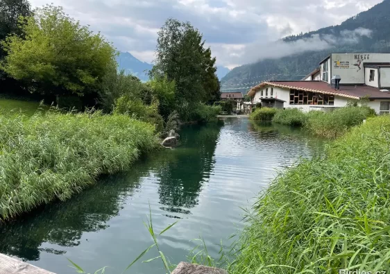 Kemp Aufenfeld od jezírka